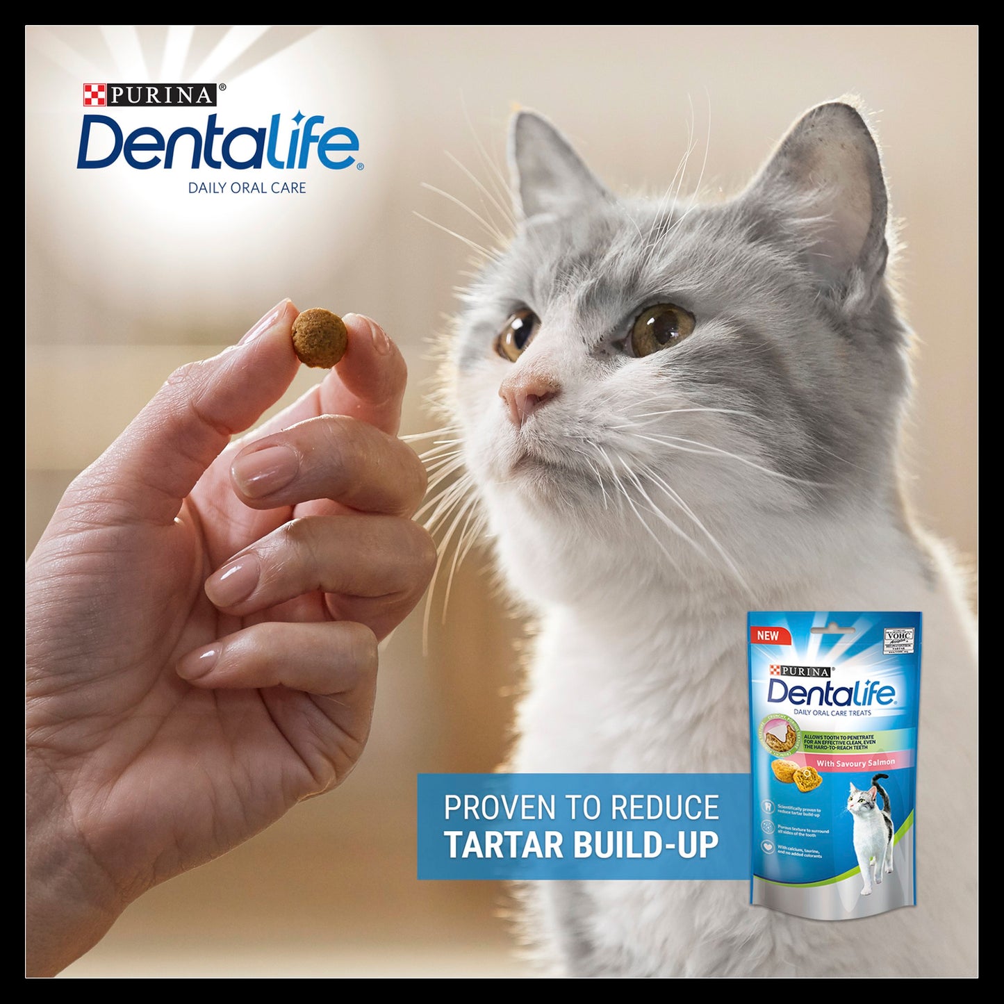 Purina Dentalife Cat Dental Treat Salmon