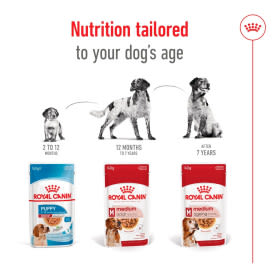 Royal Canin Medium Ageing 10+ Senior in Gravy Wet Dog Food