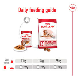 Royal Canin Medium Ageing 10+ Senior in Gravy Wet Dog Food