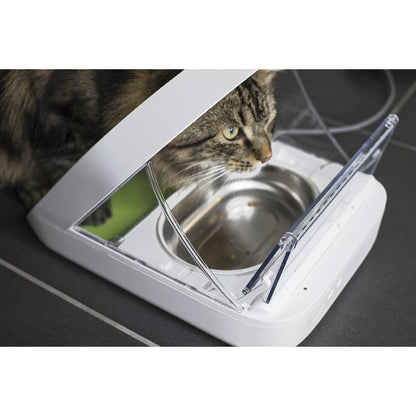 SureFeed Stainless Steel Pet Bowl Set