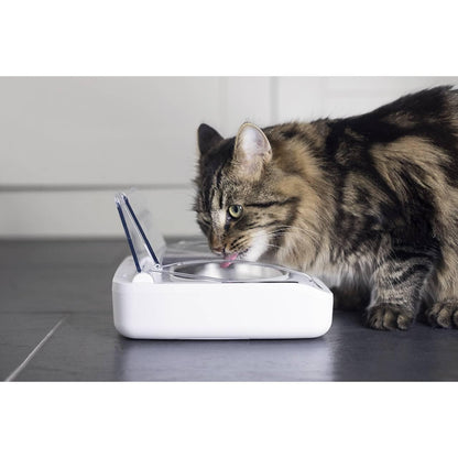 SureFeed Stainless Steel Pet Bowl Set