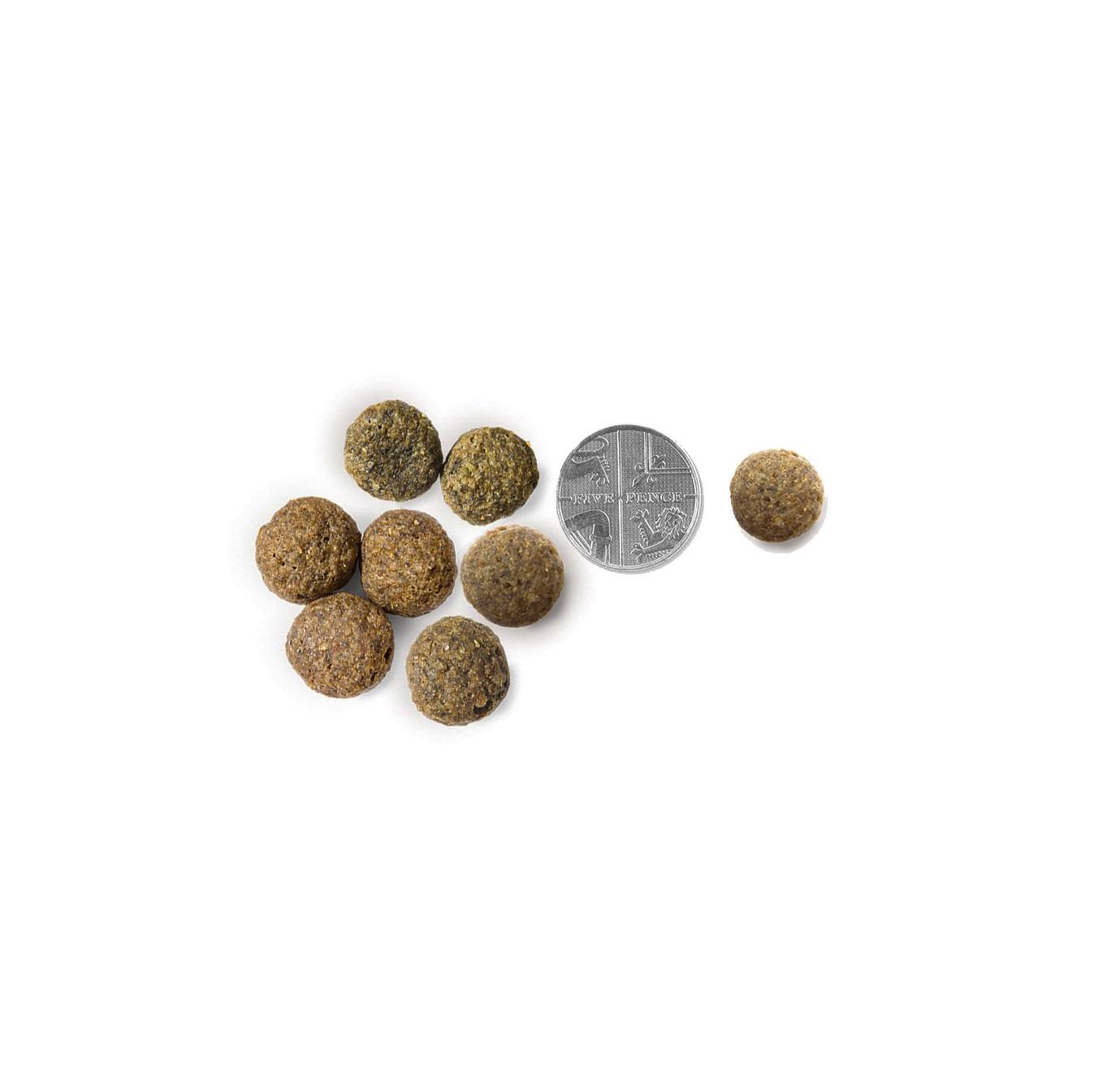 Vets Kitchen Adult Chicken & Brown Rice Dry Dog Food