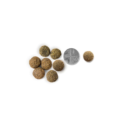 Vets Kitchen Adult Chicken & Brown Rice Dry Dog Food