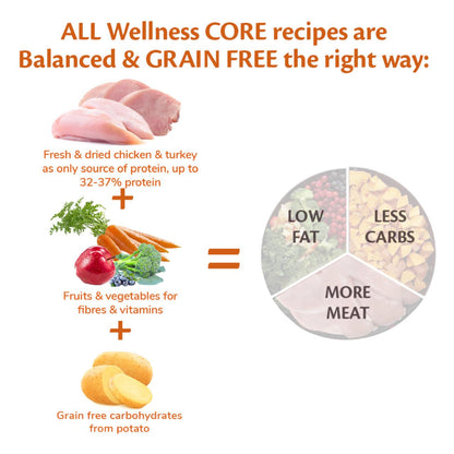 Wellness Core Grain-free Small Breed Adult Dry Dog Food Turkey