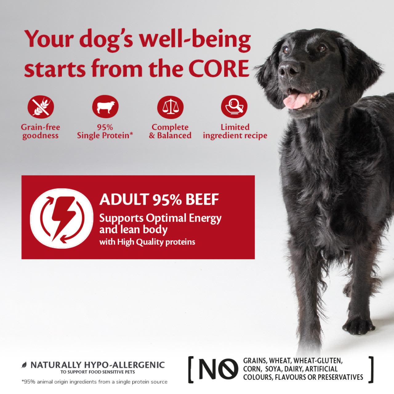 Wellness Core Grain-free Wet Dog Food 95% Beef with Broccoli