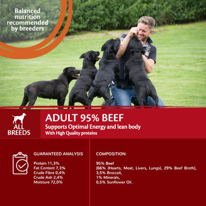 Wellness Core Grain-free Wet Dog Food 95% Beef with Broccoli