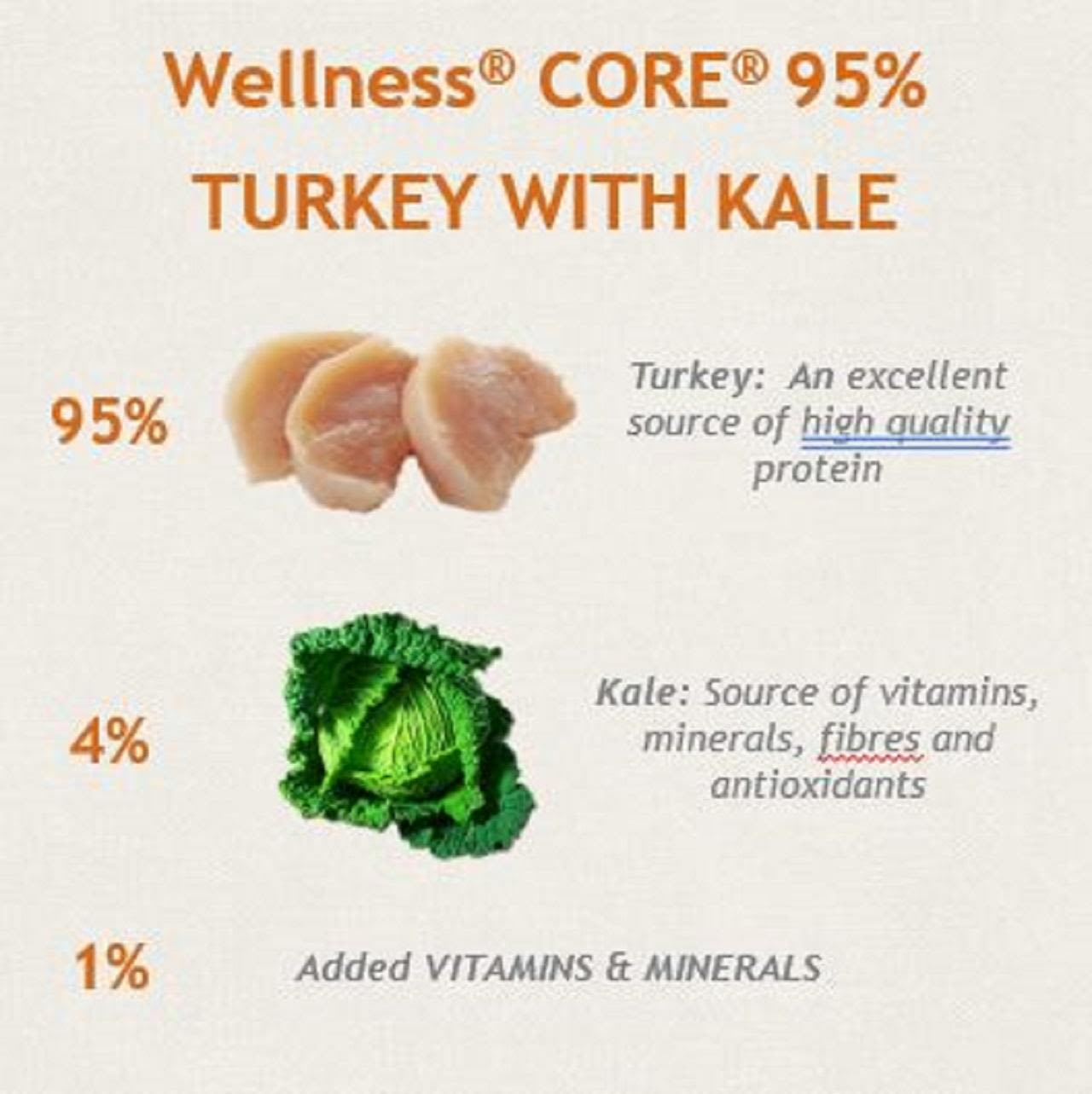 Wellness Core Grain-free Wet Dog Food 95% Turkey with Kale
