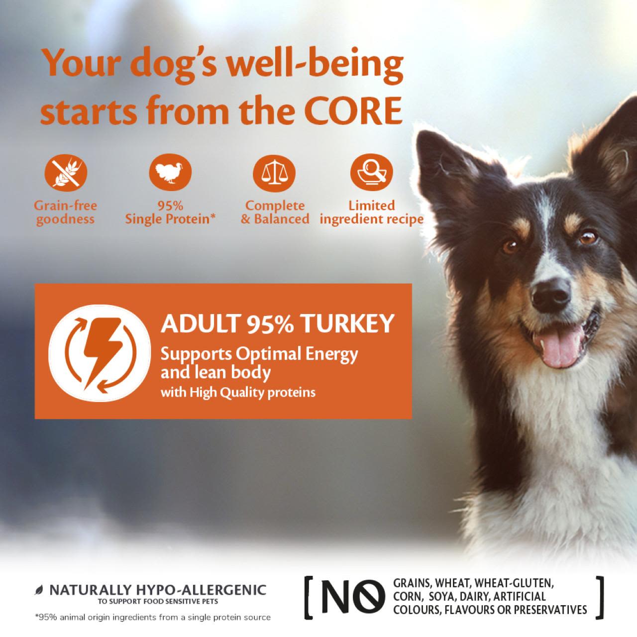 Wellness Core Grain-free Wet Dog Food 95% Turkey with Kale