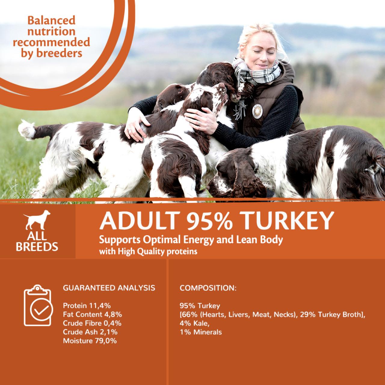 Wellness Core Grain-free Wet Dog Food 95% Turkey with Kale