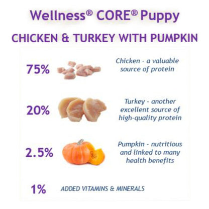Wellness Core Grain-free Wet Puppy Food 95% Turkey and Chicken with Pumpkin