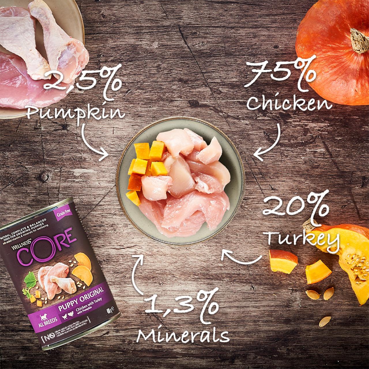 Wellness Core Grain-free Wet Puppy Food 95% Turkey and Chicken with Pumpkin