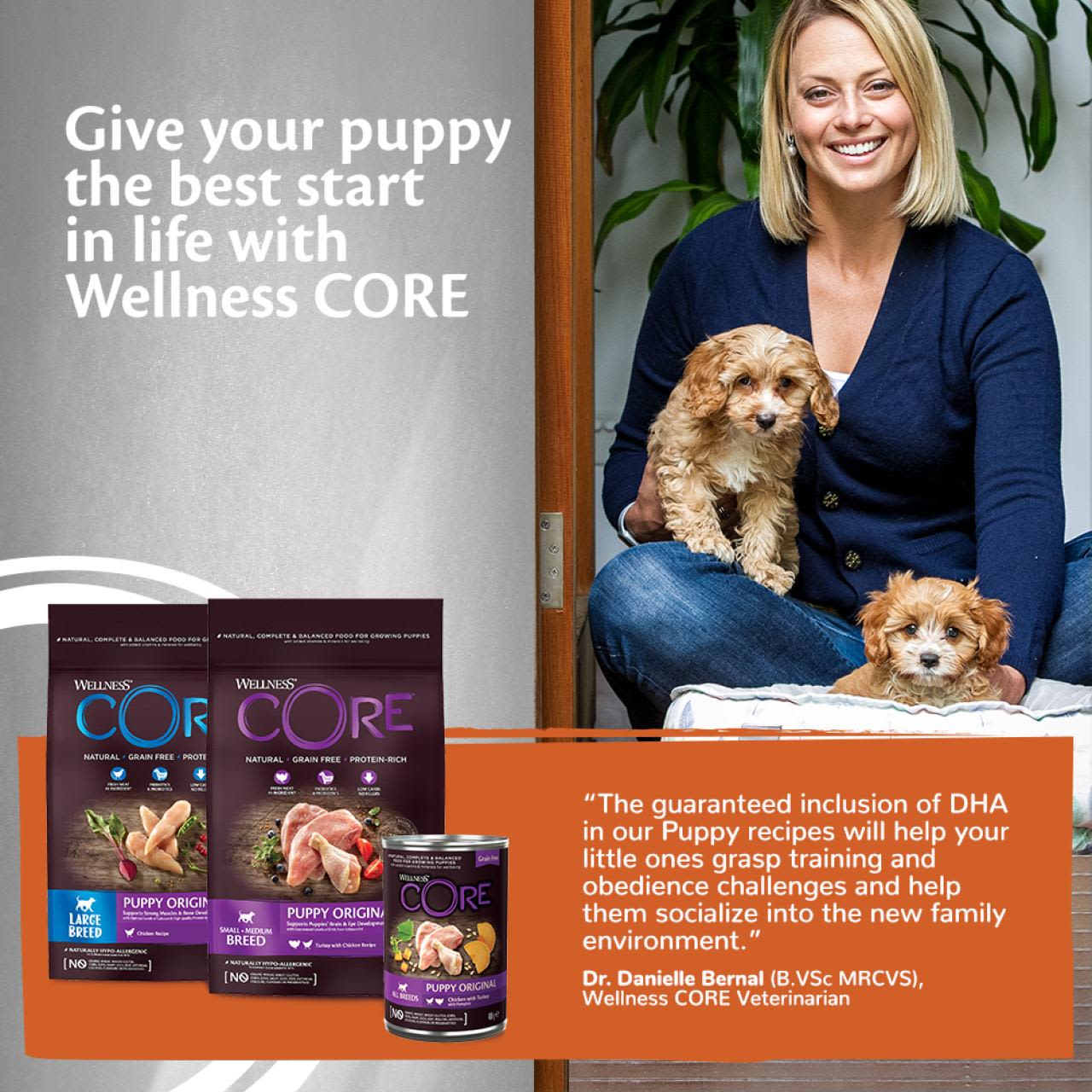 Wellness Core Grain-free Wet Puppy Food 95% Turkey and Chicken with Pumpkin