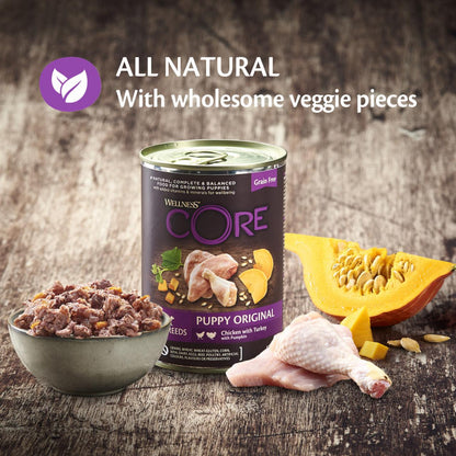 Wellness Core Grain-free Wet Puppy Food 95% Turkey and Chicken with Pumpkin