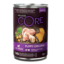 Wellness Core Grain-free Wet Puppy Food 95% Turkey and Chicken with Pumpkin