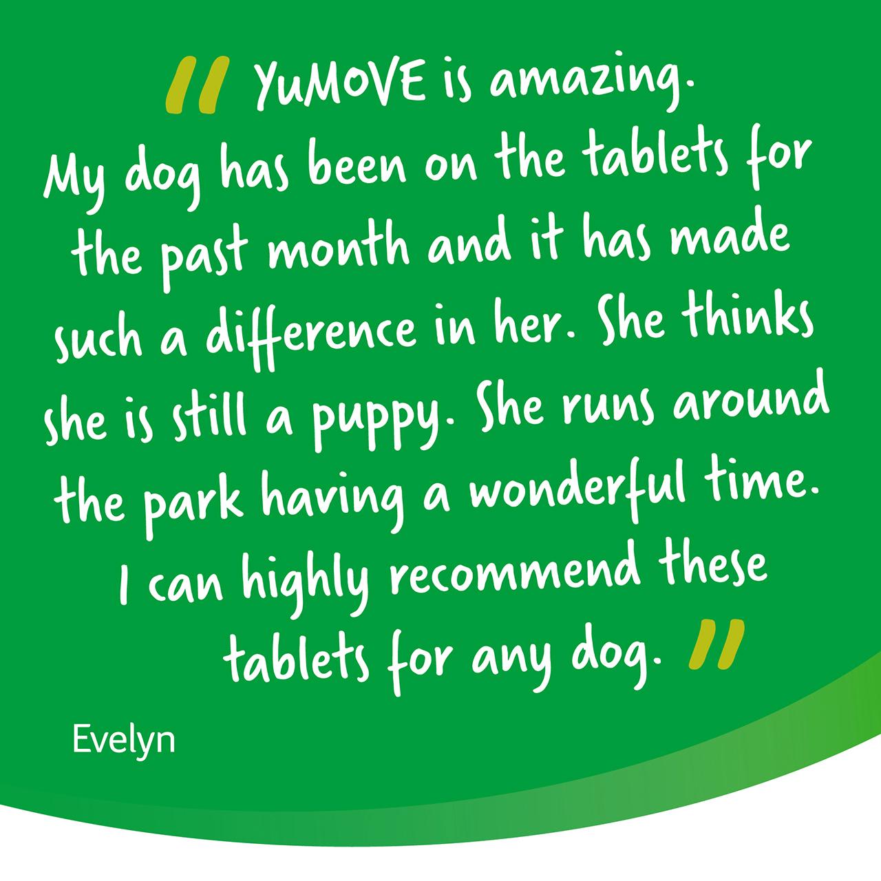 Yumove Chewies One a Day Dog Joint Supplement for Large Dog