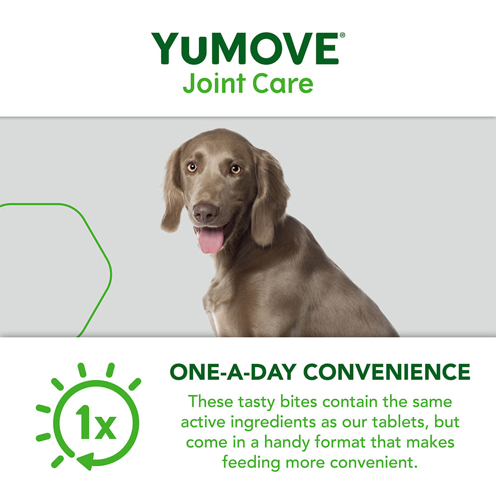 Yumove Chewies One a Day Dog Joint Supplement for Large Dog