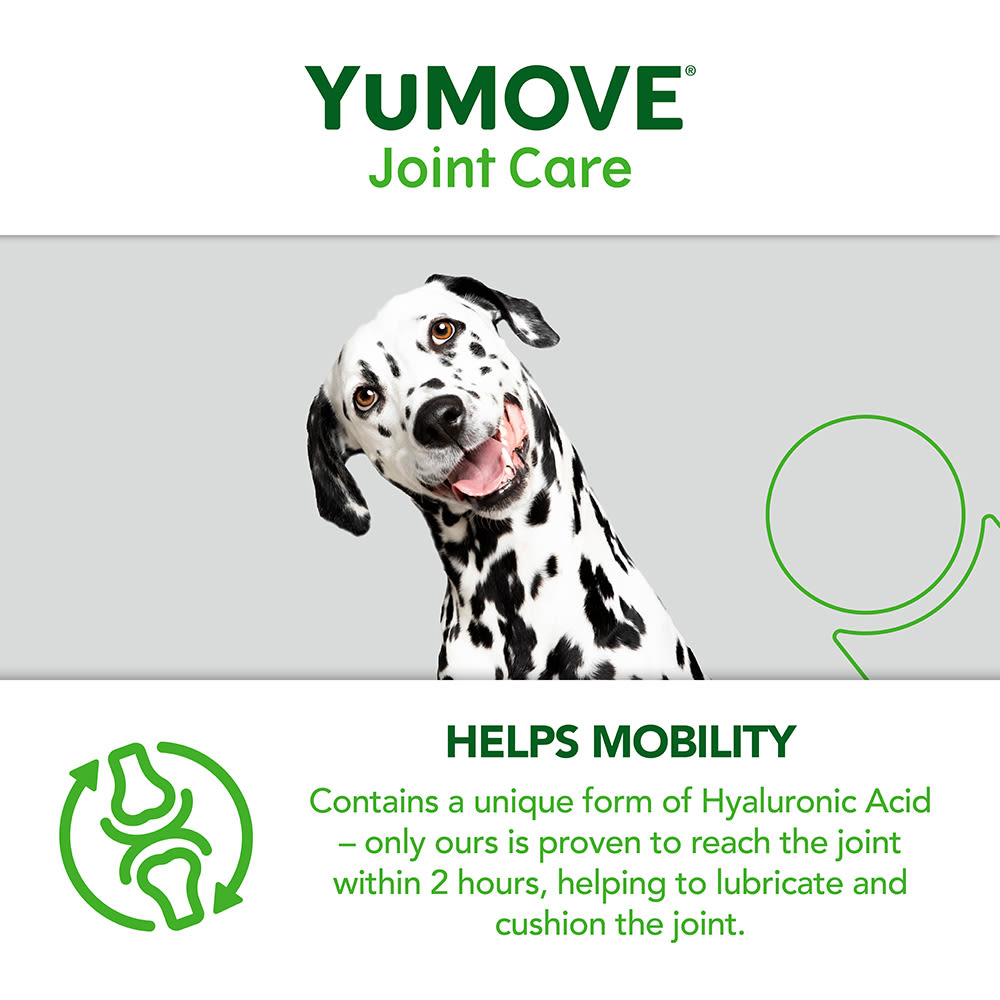 Yumove Chewies One a Day Dog Joint Supplement for Large Dog