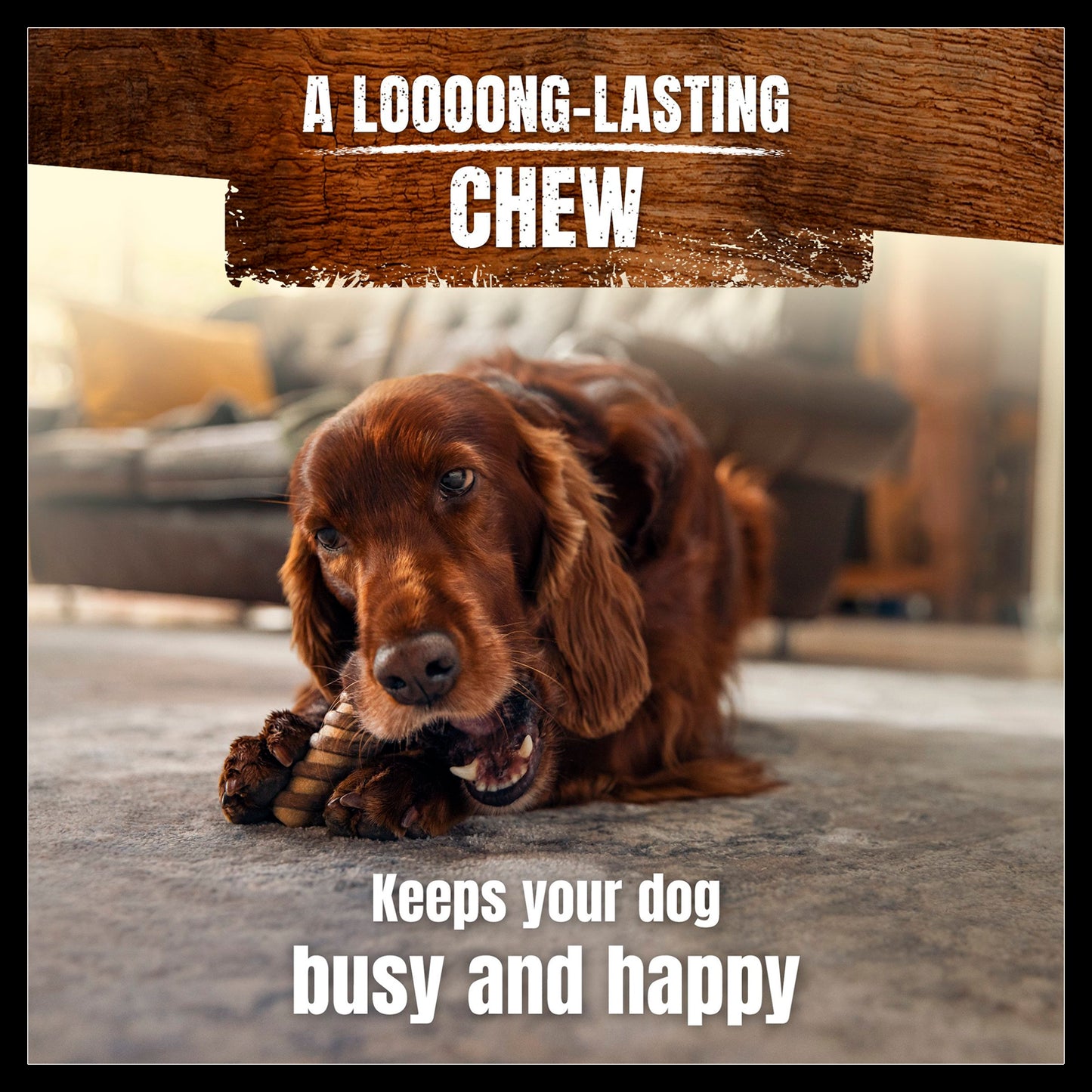 Purina Adventuros Medium Adult Wild Chew Dog Treats - Venison