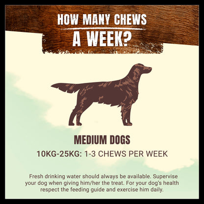 Purina Adventuros Medium Adult Wild Chew Dog Treats - Venison