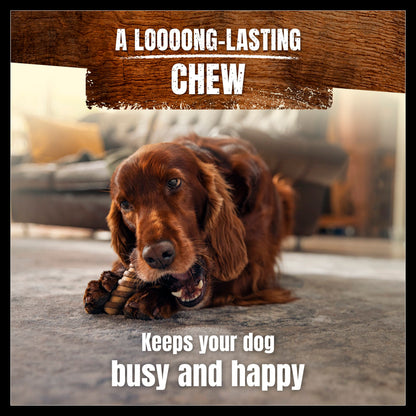 Purina Adventuros Small Adult Wild Chew Dog Treats - Venison