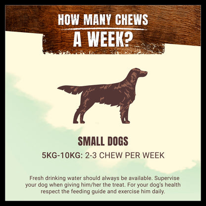 Purina Adventuros Small Adult Wild Chew Dog Treats - Venison
