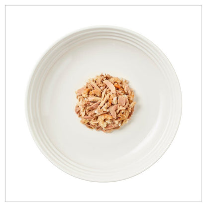 Encore Adult Wet Cat Food - Fish Selection in Jelly