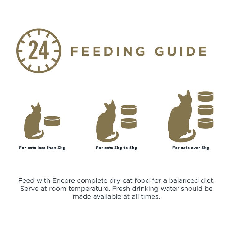 Encore Adult Wet Cat Food - Fish Selection in Jelly