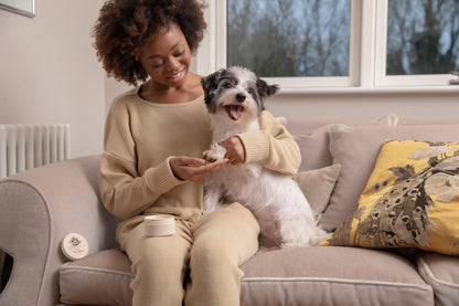 Pet Head On All Paws Paw Butter