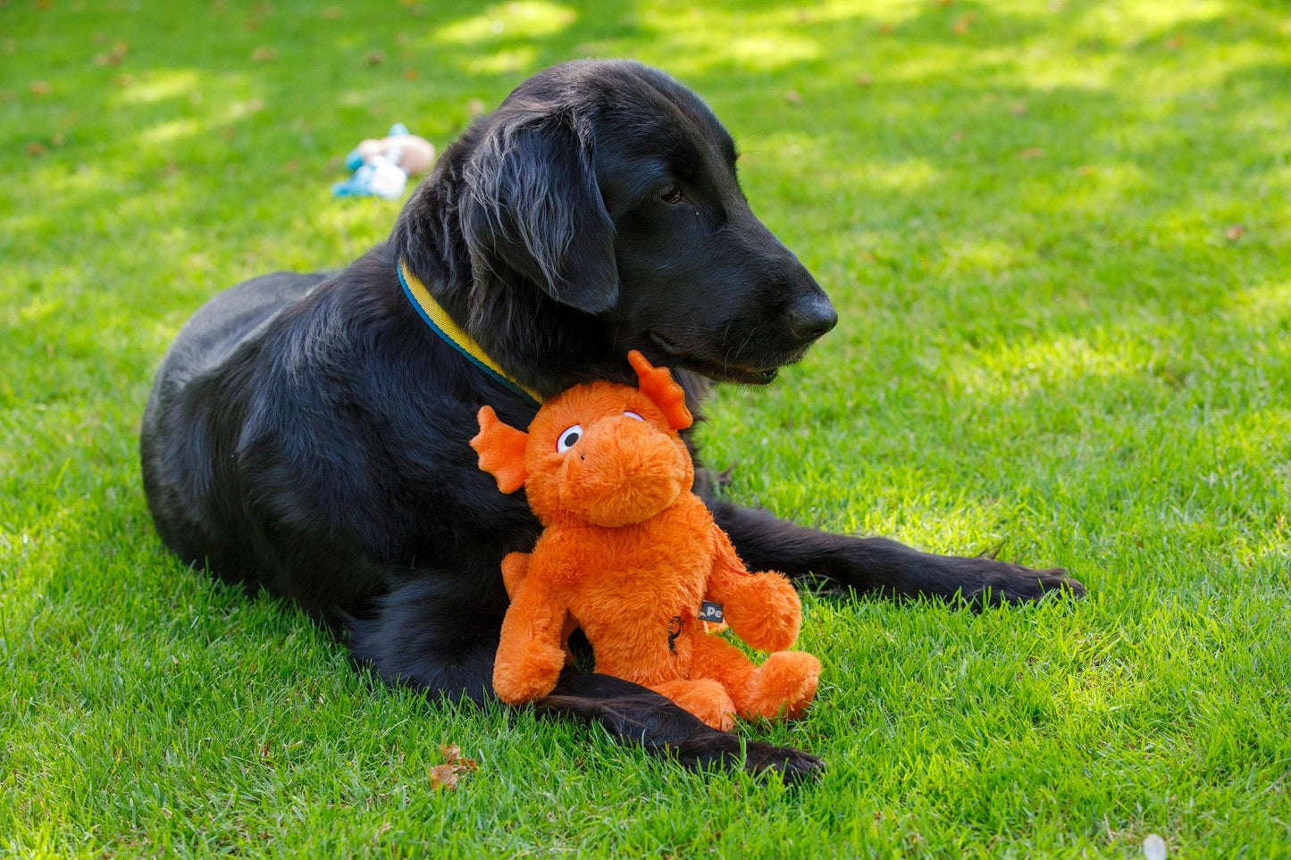 Petface Mighty Dragon Dog Toy