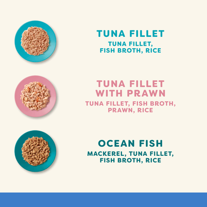 Applaws Cat Tin 12 x 156g Fish Selection in Broth