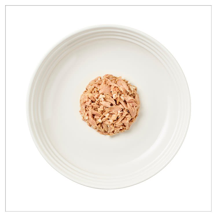 Encore Adult Wet Cat Food Pouches - Fish Selection in Broth