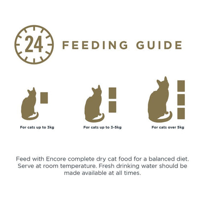 Encore Adult Wet Cat Food Pouches - Fish Selection in Broth