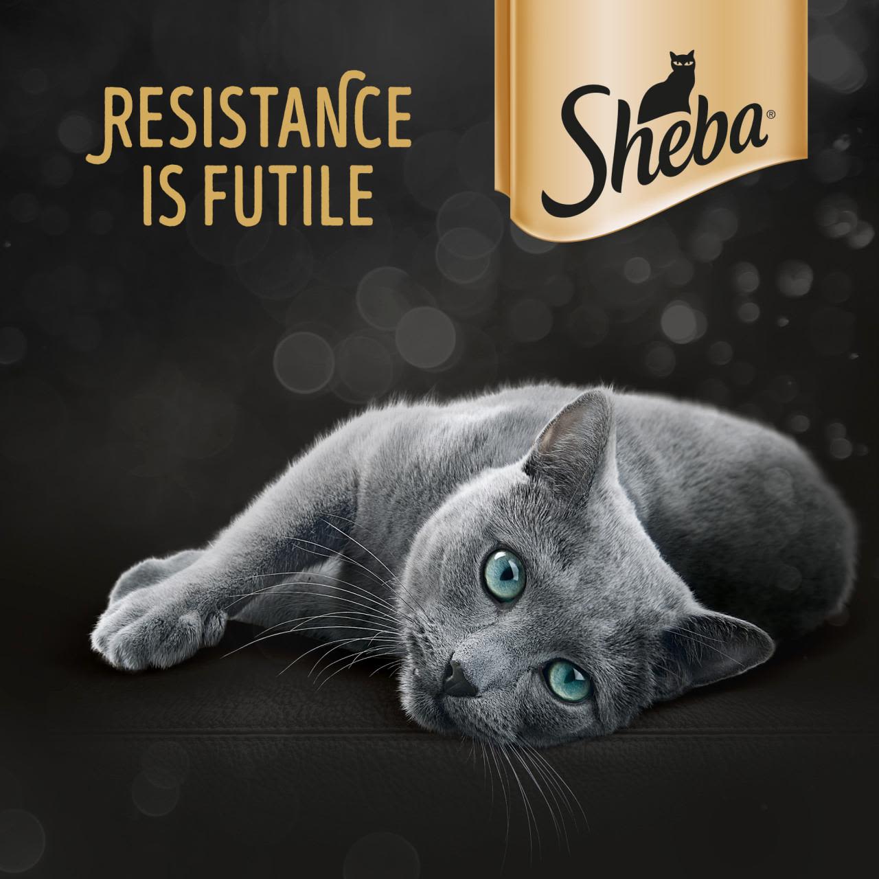 Sheba Fresh & Fine Wet Cat Food Pouches Tuna & Salmon in Jelly