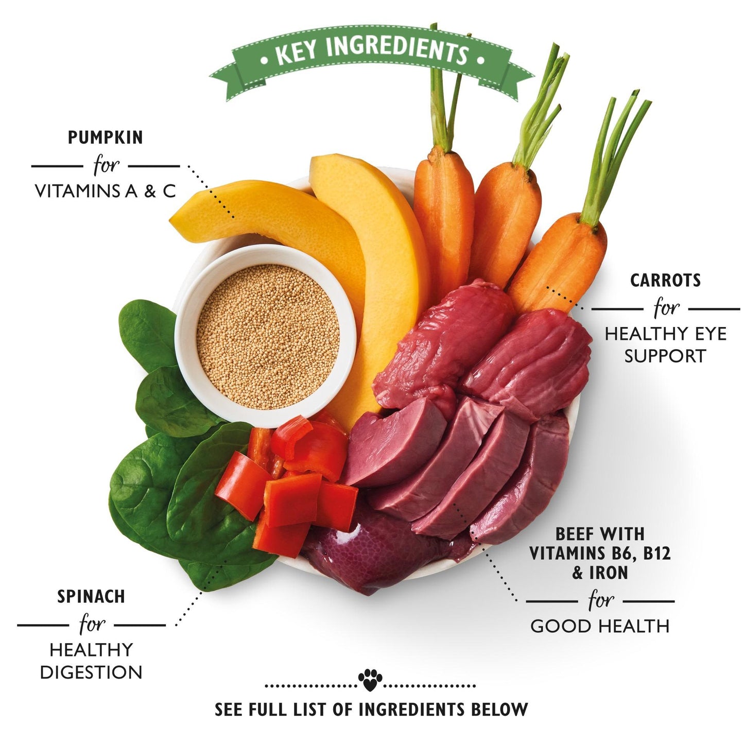 Lily's Kitchen Beef Goulash Tray for Dogs