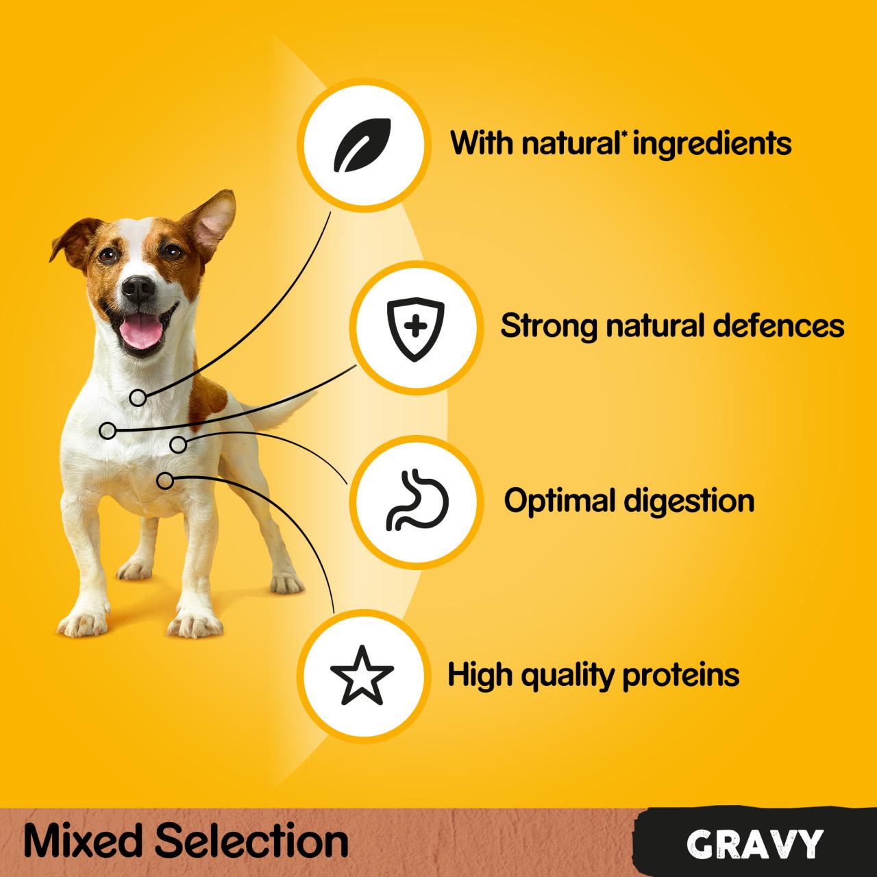 Pedigree Adult Wet Dog Food Pouches Farmers Selection in Gravy