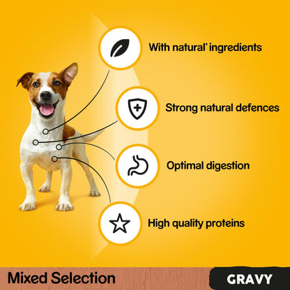 Pedigree Adult Wet Dog Food Pouches Farmers Selection in Gravy