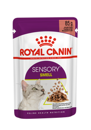 Royal Canin Sensory Smell Wet Cat Food in Gravy