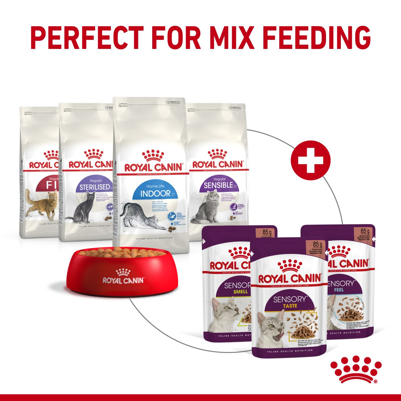 Royal Canin Sensory Smell Wet Cat Food in Gravy