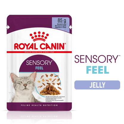 Royal Canin Sensory Feel Wet Cat Food in Jelly