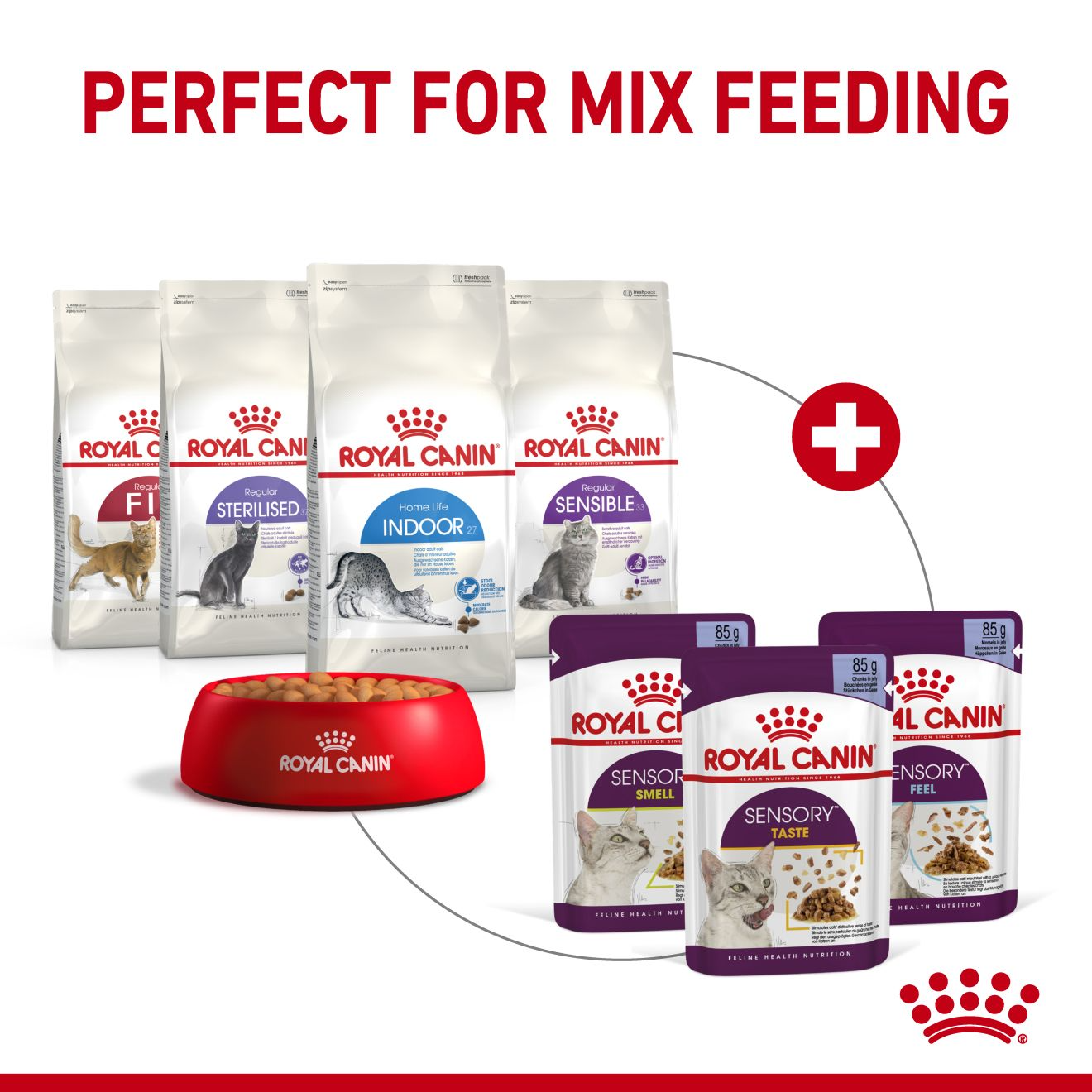 Royal Canin Sensory Feel Wet Cat Food in Jelly
