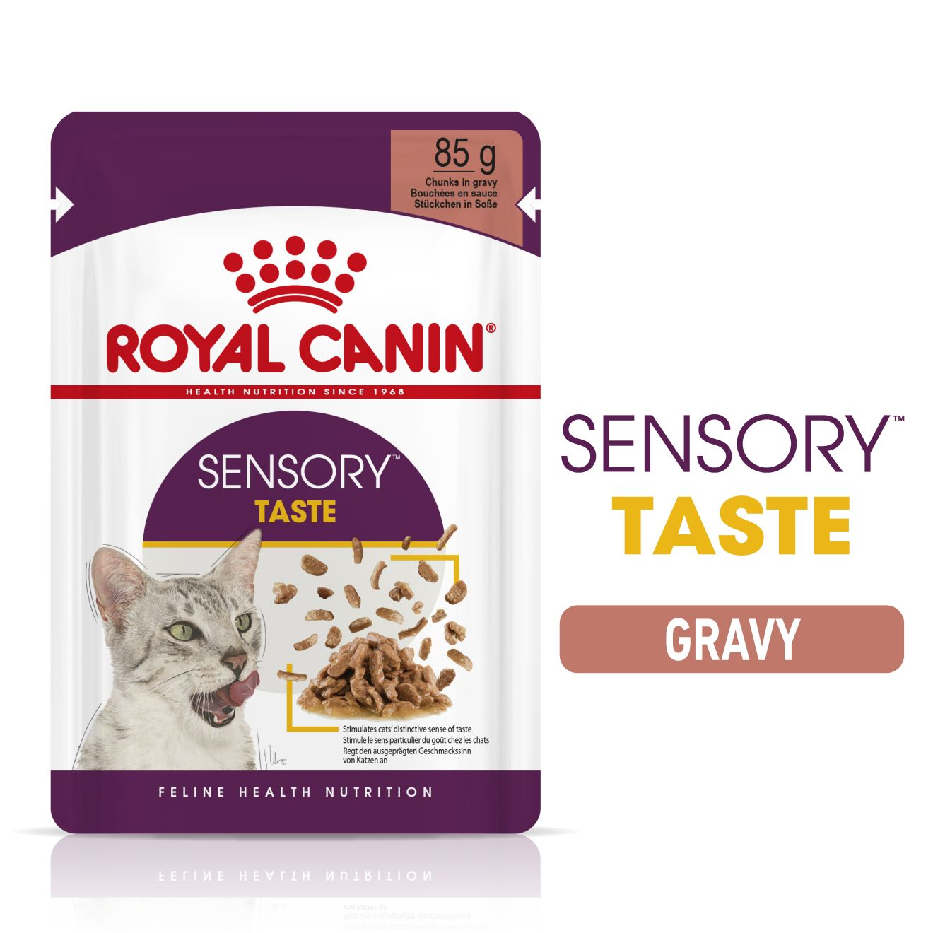 Royal Canin Sensory Taste Wet Cat Food in Gravy