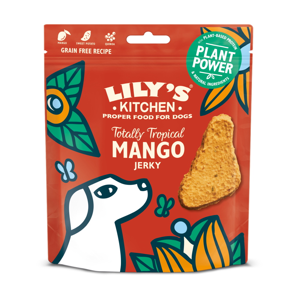 Lily's Kitchen Dog Treats - Mango Jerky