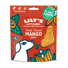 Lily's Kitchen Dog Treats - Mango Jerky