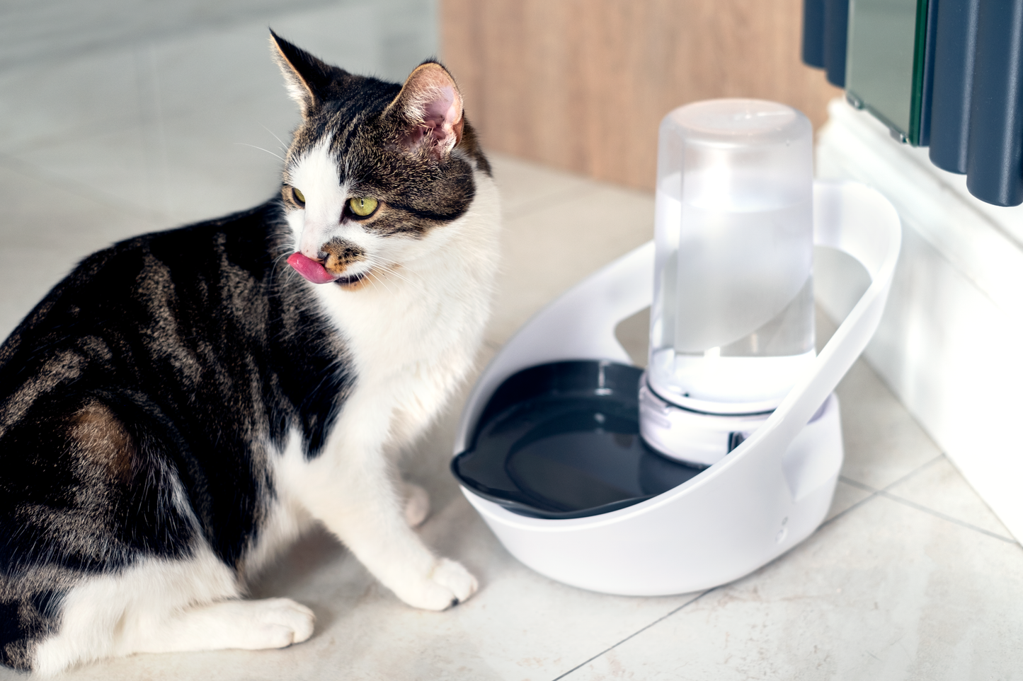 SurePet Felaqua Connect for Cats and Small Dogs