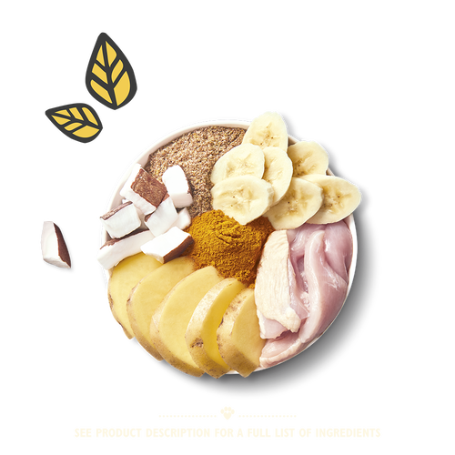 Lily's Kitchen On The Go Mealtime Bars Dog Treats - Chicken with Coconut & Turmeric