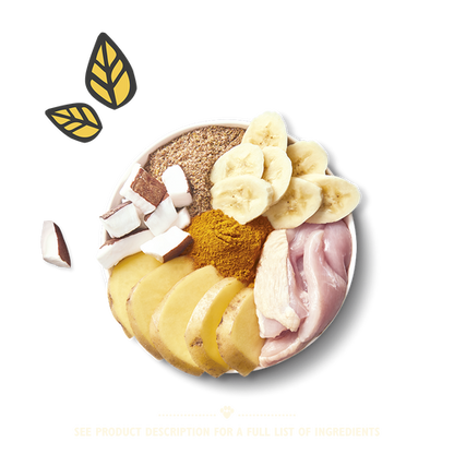 Lily's Kitchen On The Go Mealtime Bars Dog Treats - Chicken with Coconut & Turmeric