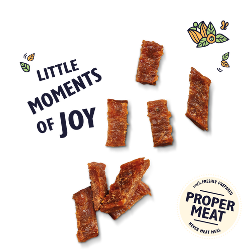 Lily's Kitchen Chicken with Turkey Nibbles Puppy Dog Treats