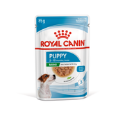 Royal Canin Mini Puppy Wet Dog Food - Chunks in Gravy