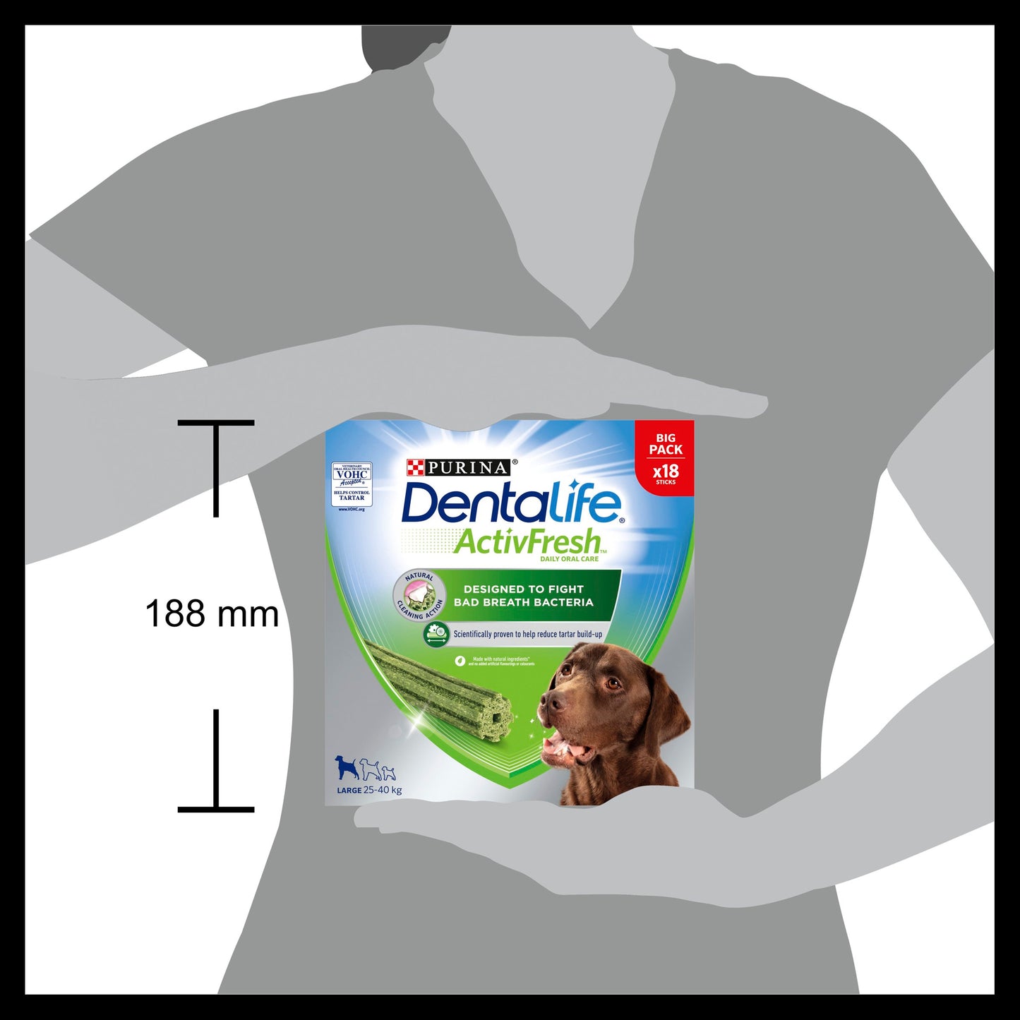 Dentalife ActivFresh Dental Chew Large Dog Treats
