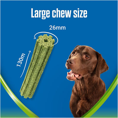 Dentalife ActivFresh Dental Chew Large Dog Treats
